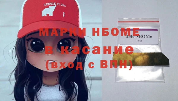 PSILOCYBIN Алзамай