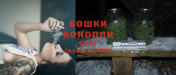 PSILOCYBIN Алзамай