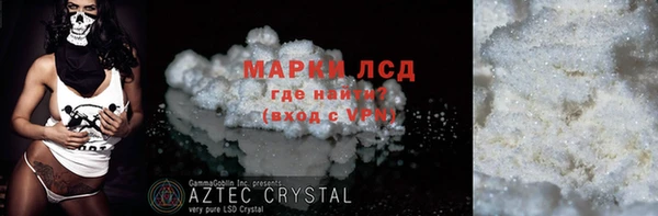 PSILOCYBIN Алзамай