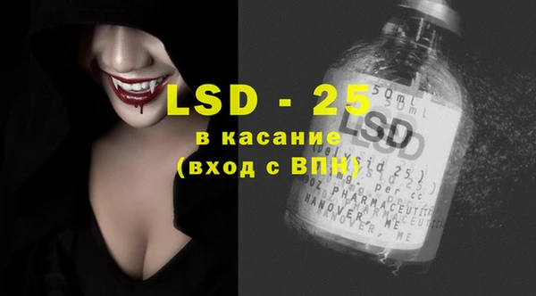 PSILOCYBIN Алзамай