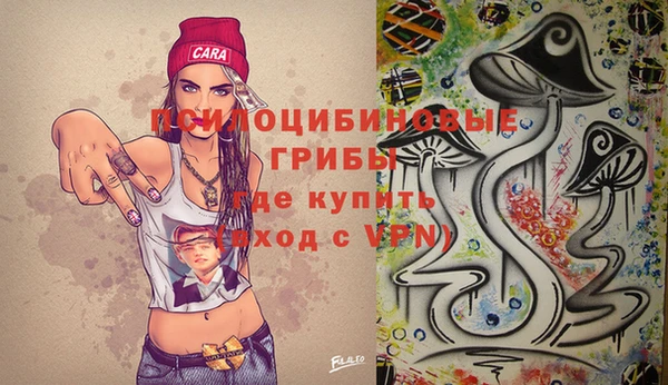 PSILOCYBIN Алзамай